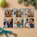 Veterinary & Pet Hospital Care Set Magnets